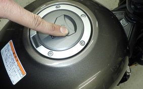 HONDA REBEL 250 S 2022 MC49