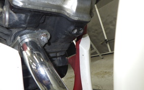 HONDA VT250FC 2020 MC08