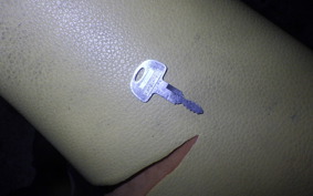 SUZUKI TS50 Hustler SA11A