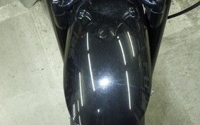 OTHER +HD. XL1200X 2014