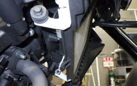 YAMAHA MT-25 A 2020 RG43J