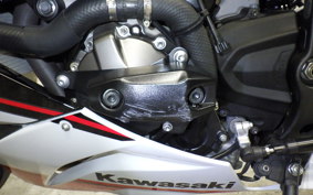 KAWASAKI NINJA ZX-6R A 2020 ZX636G