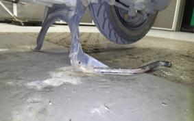 SUZUKI ADDRESS V50 Gen.2 CA44A
