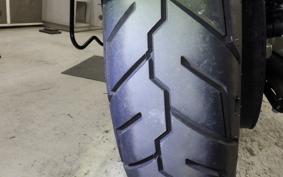 HARLEY XL883N
