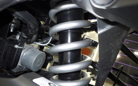 YAMAHA YZF-R25 A 2002 RG74J