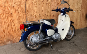 HONDA SUPER CUB110 JA44
