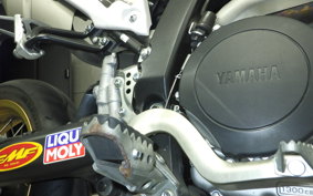 YAMAHA WR250X 2025 DG15J