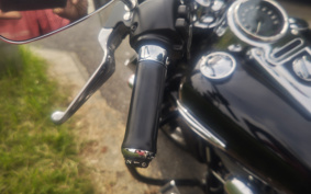HARLEY FLD 2013 GZ4