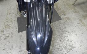YAMAHA WR250X 2024 DG15J
