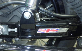 KAWASAKI W800 CAFE 2020 EJ800B