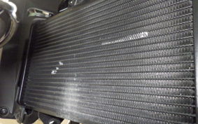 HONDA NX400 2024 NC65