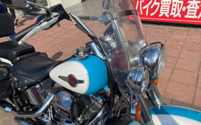 HARLEY FLSTC 2017 BWV