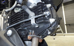 KAWASAKI Z125 PRO 2010 BR125H