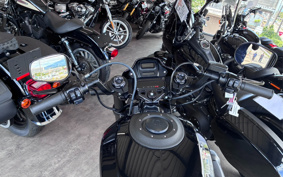 HARLEY FXDR114 2019 YVK