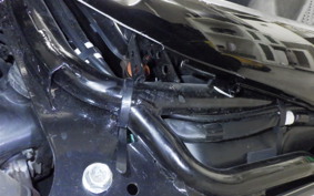 SUZUKI ｽｳｨｯｼｭ125 2025 DV12B