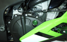 KAWASAKI ZX-4RR 2024 ZX400P