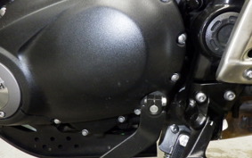 TRIUMPH SCRAMBLER400X 2024