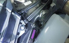HONDA CRF250L MD47