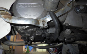 HONDA C50 SUPER CUB 2025 AA01