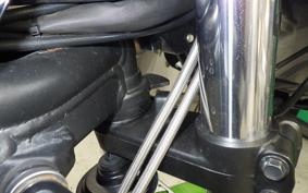 KAWASAKI ZRX1200 D 2010 ZRT20D