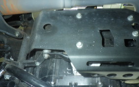 OTHER UNREGISTERED MODEL by BDS250