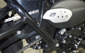 TRIUMPH SCRAMBLER 900 2025