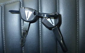 KAWASAKI Z900RS 2020