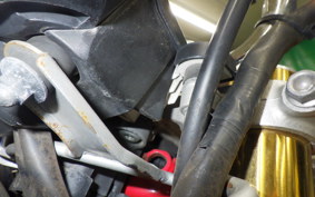 HONDA VTR 250 2024 MC33