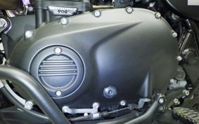 TRIUMPH SCRAMBLER 900 2023