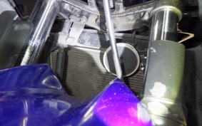 KAWASAKI NINJA 250R EX250K