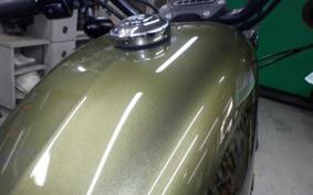 HARLEY XL883N 2015
