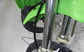 KAWASAKI KDX125 SR 2019 DX125A