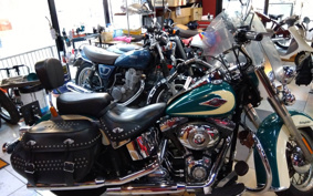 HARLEY HARLEY FLSTC 2008 BW5