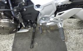 YAMAHA XSR900 GP 2026 RN96J
