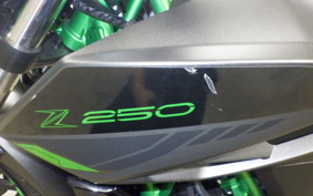 KAWASAKI Z250 Gen.2 2023 EX250Y