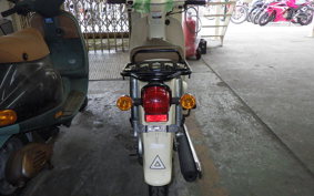 HONDA C110 SUPER CUB JA59