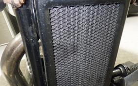 HONDA STEED 400 1994 NC26