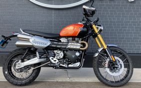 TRIUMPH  TRIUMPH  SCRAMBLER 1200XE 2024 DADS0H