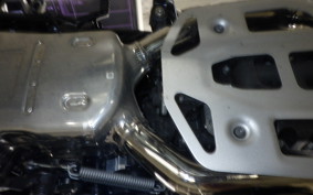 BMW R1300GS ASA 2025