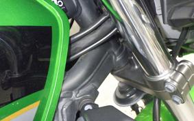 KAWASAKI ZRX1200 D 2013 ZRT20D