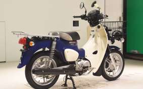 HONDA C110 SUPER CUB 2019 JA61
