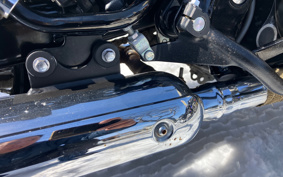 KAWASAKI W800 CAFE 2020 EJ800B