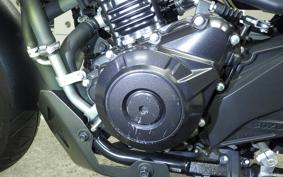 SUZUKI V-STROM 250