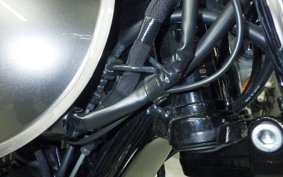 KAWASAKI W800 2024 EJ800E