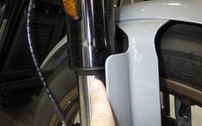 HARLEY FXLRST1920 2025