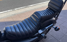 HARLEY XL883N 2010 LE2
