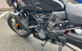 HARLEY PAN AMERICA 1250 2021 ZDS