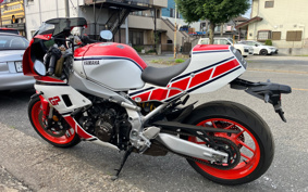 YAMAHA XSR900 GP 2025 RN96J