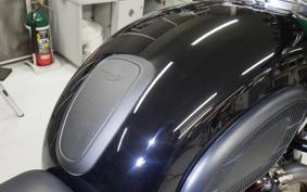 TRIUMPH SPEED TWIN 2024