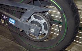 KAWASAKI NINJA 250 ABS 2024 EX250L